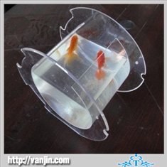Fish Bowl