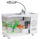 Aquarium Tank