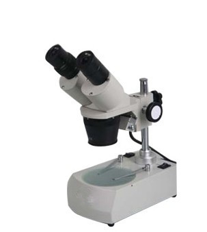 Stereo microscope