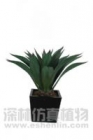 Artificial Plant