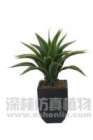 Artificial Plant