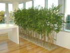 Artificial Bamboo