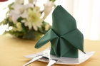 Table Napkin