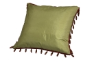 Cushion