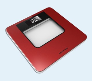 Bathroom scale