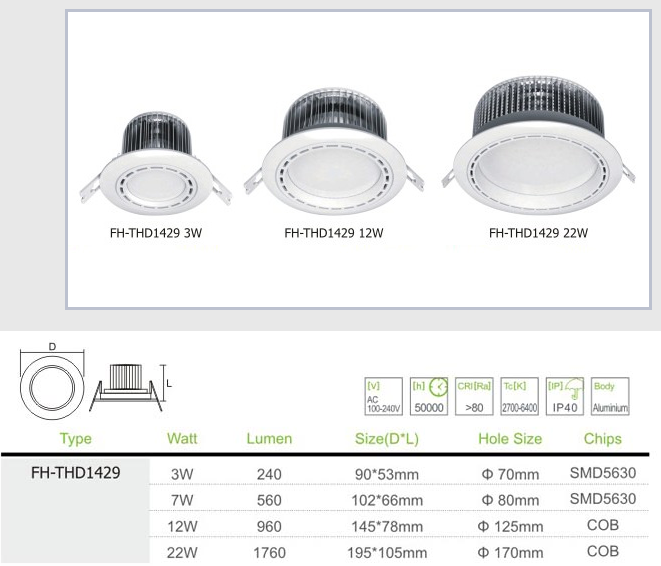 LED DownLighters