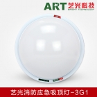 Fire Emergency Ceiling Light