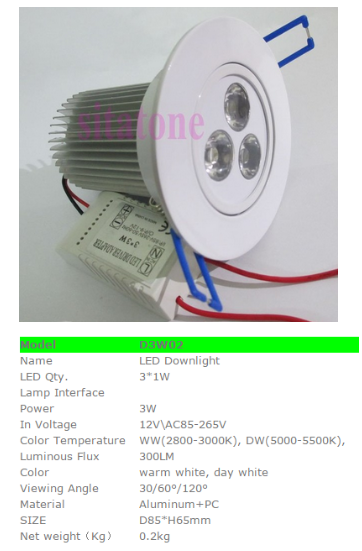 LED DownLighters