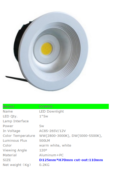 LED DownLighters