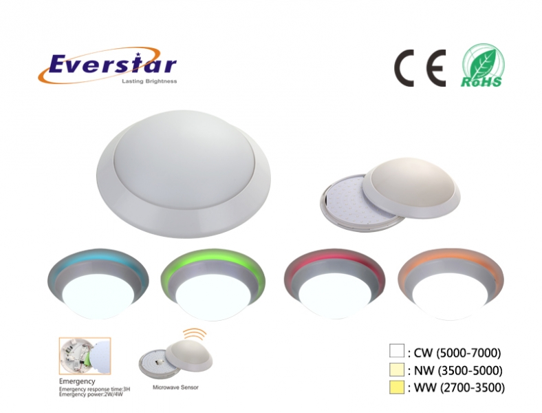 LED Ceiling Lamps