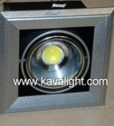 LED DownLighters