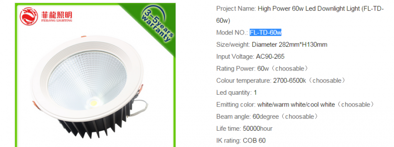 LED DownLighters