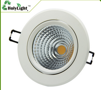 LED DownLighters